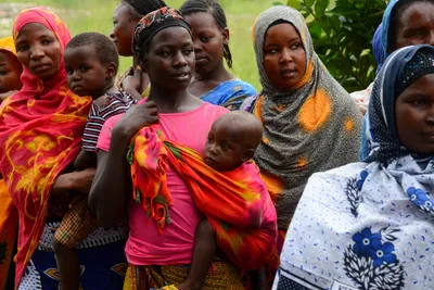 DSC_9454 (Large).JPG